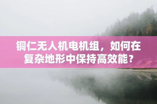 铜仁无人机电机组，如何在复杂地形中保持高效能？