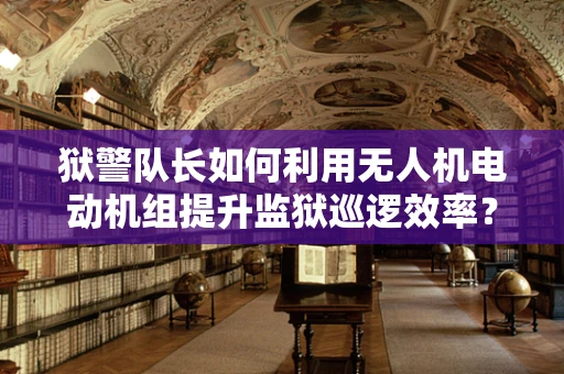 狱警队长如何利用无人机电动机组提升监狱巡逻效率？