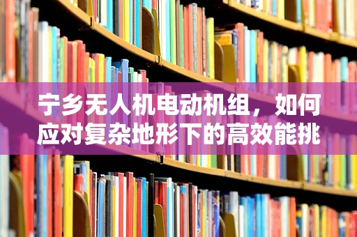 宁乡无人机电动机组，如何应对复杂地形下的高效能挑战？