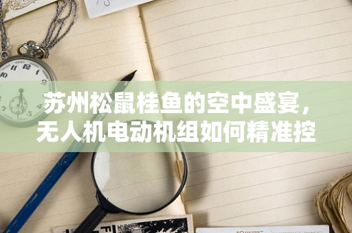 苏州松鼠桂鱼的空中盛宴，无人机电动机组如何精准控制飞行轨迹？