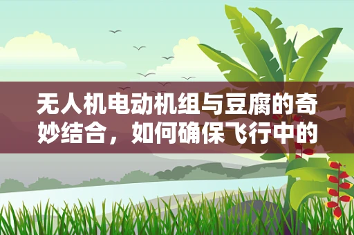 无人机电动机组与豆腐的奇妙结合，如何确保飞行中的稳定与安全？