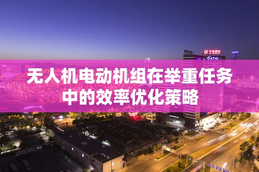 无人机电动机组在举重任务中的效率优化策略