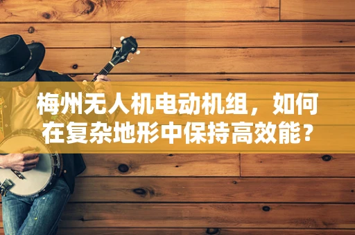 梅州无人机电动机组，如何在复杂地形中保持高效能？