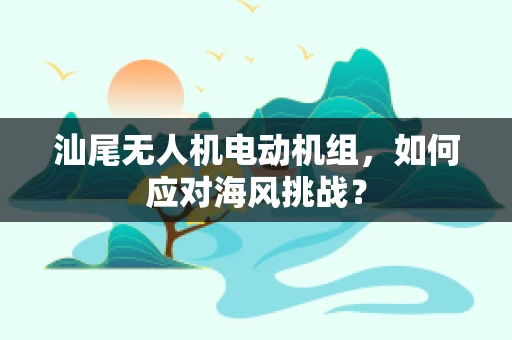 汕尾无人机电动机组，如何应对海风挑战？