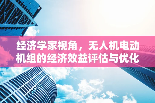 经济学家视角，无人机电动机组的经济效益评估与优化策略
