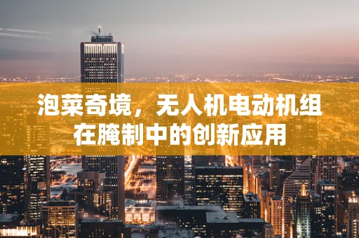 泡菜奇境，无人机电动机组在腌制中的创新应用