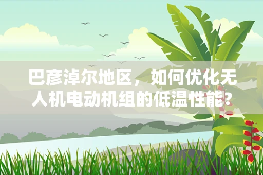 巴彦淖尔地区，如何优化无人机电动机组的低温性能？