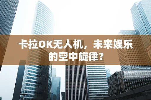 卡拉OK无人机，未来娱乐的空中旋律？