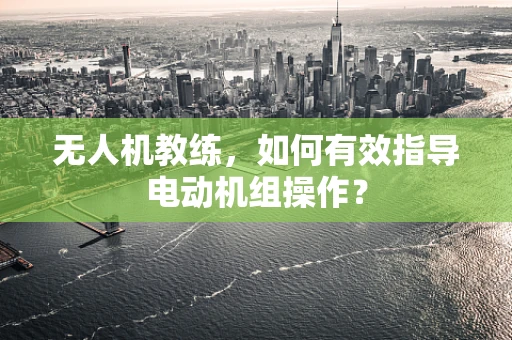 无人机教练，如何有效指导电动机组操作？