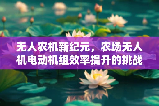 无人农机新纪元，农场无人机电动机组效率提升的挑战与对策