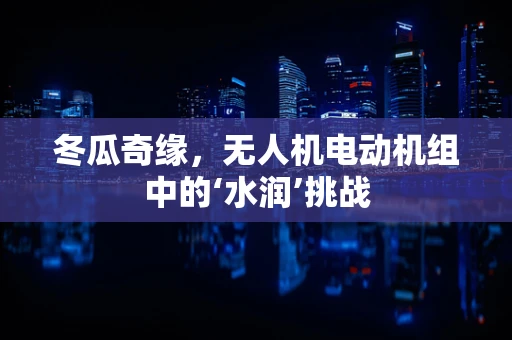 冬瓜奇缘，无人机电动机组中的‘水润’挑战