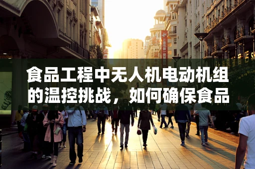 食品工程中无人机电动机组的温控挑战，如何确保食品加工的精准温控？