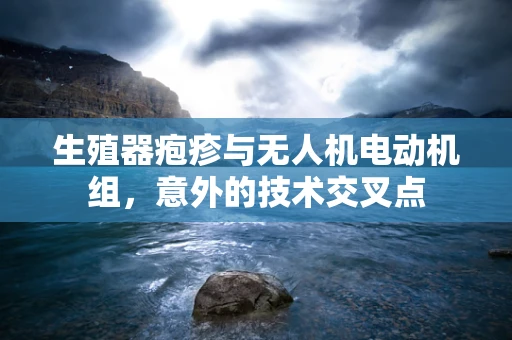 生殖器疱疹与无人机电动机组，意外的技术交叉点