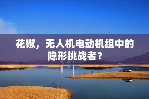 花椒，无人机电动机组中的隐形挑战者？