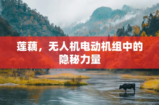 莲藕，无人机电动机组中的隐秘力量