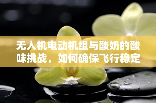 无人机电动机组与酸奶的酸味挑战，如何确保飞行稳定性？