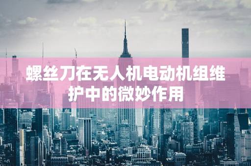 螺丝刀在无人机电动机组维护中的微妙作用