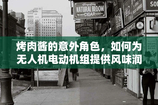 烤肉酱的意外角色，如何为无人机电动机组提供风味润滑？