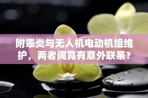附睾炎与无人机电动机组维护，两者间竟有意外联系？
