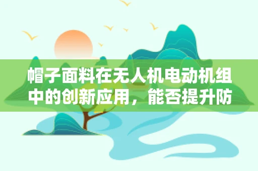 帽子面料在无人机电动机组中的创新应用，能否提升防护性能？