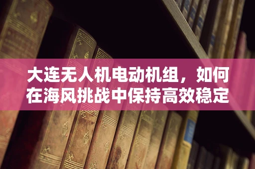 大连无人机电动机组，如何在海风挑战中保持高效稳定飞行？
