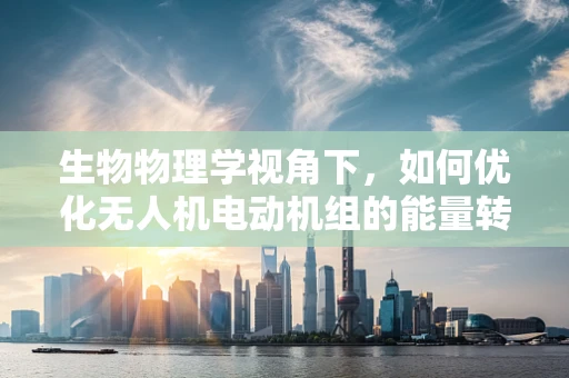 生物物理学视角下，如何优化无人机电动机组的能量转换效率？