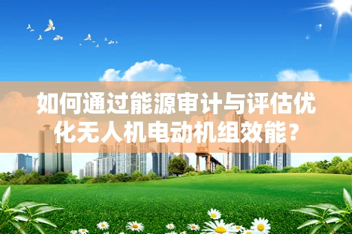如何通过能源审计与评估优化无人机电动机组效能？