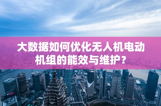 大数据如何优化无人机电动机组的能效与维护？