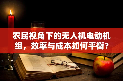 农民视角下的无人机电动机组，效率与成本如何平衡？
