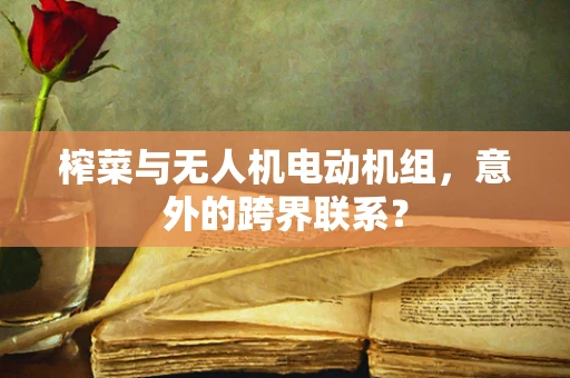 榨菜与无人机电动机组，意外的跨界联系？