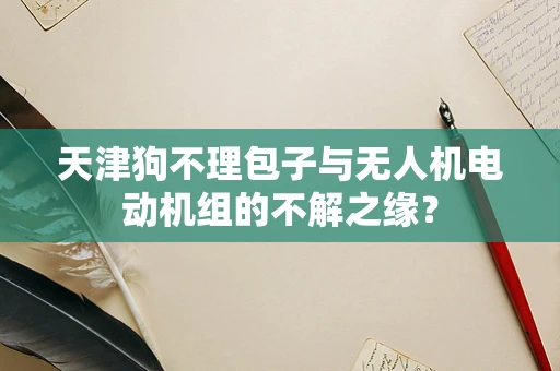 天津狗不理包子与无人机电动机组的不解之缘？