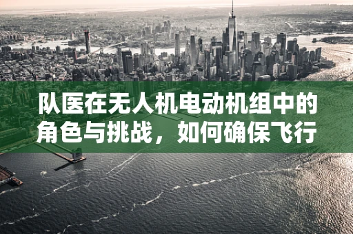 队医在无人机电动机组中的角色与挑战，如何确保飞行安全？