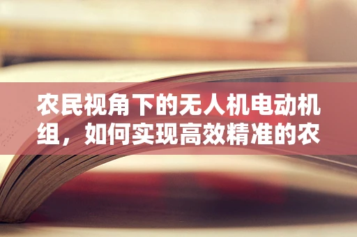 农民视角下的无人机电动机组，如何实现高效精准的农田作业？