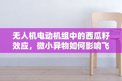 无人机电动机组中的西瓜籽效应，微小异物如何影响飞行安全？