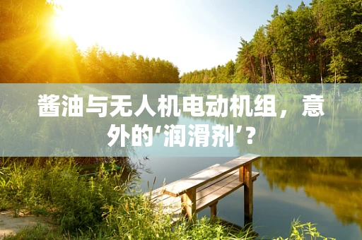酱油与无人机电动机组，意外的‘润滑剂’？