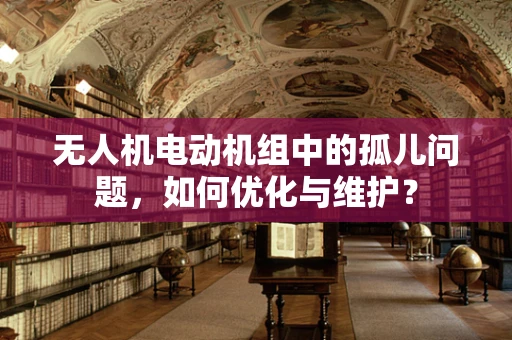 无人机电动机组中的孤儿问题，如何优化与维护？