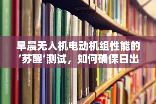 早晨无人机电动机组性能的‘苏醒’测试，如何确保日出时刻的稳定飞行？