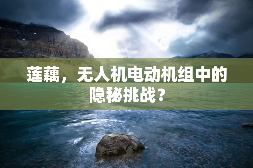 莲藕，无人机电动机组中的隐秘挑战？