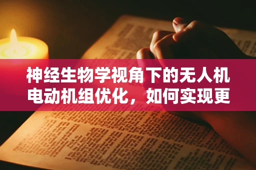 神经生物学视角下的无人机电动机组优化，如何实现更智能的飞行控制？