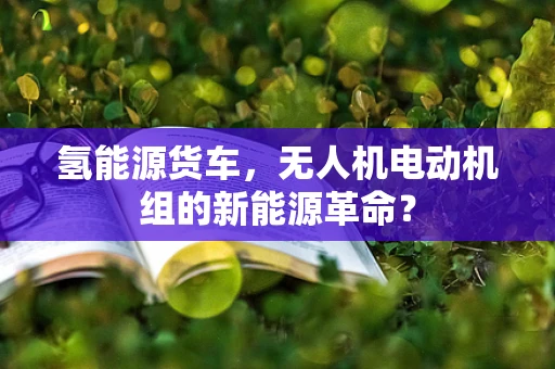 氢能源货车，无人机电动机组的新能源革命？