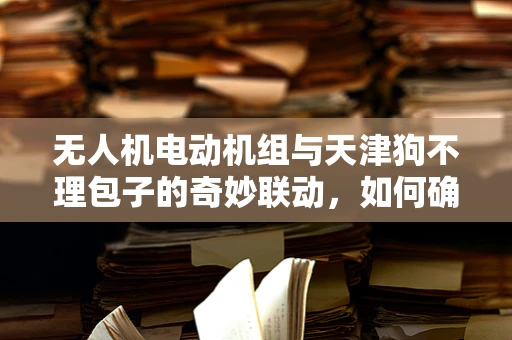 无人机电动机组与天津狗不理包子的奇妙联动，如何确保美食配送的空中安全？