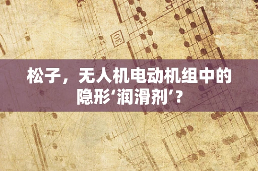 松子，无人机电动机组中的隐形‘润滑剂’？