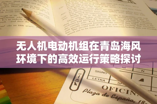 无人机电动机组在青岛海风环境下的高效运行策略探讨