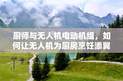 厨师与无人机电动机组，如何让无人机为厨房烹饪添翼？