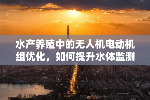 水产养殖中的无人机电动机组优化，如何提升水体监测效率？