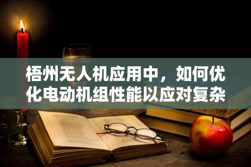 梧州无人机应用中，如何优化电动机组性能以应对复杂地形挑战？