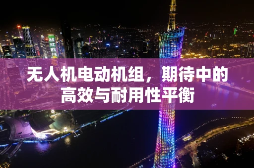 无人机电动机组，期待中的高效与耐用性平衡