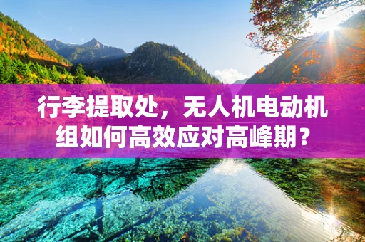 行李提取处，无人机电动机组如何高效应对高峰期？