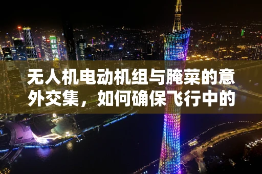 无人机电动机组与腌菜的意外交集，如何确保飞行中的食物安全？