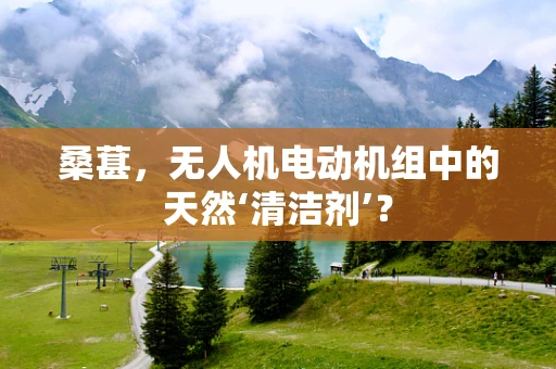 桑葚，无人机电动机组中的天然‘清洁剂’？